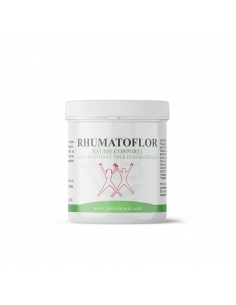 Rhumatoflor Baume 100 ML - ARTICULATION et RHUMATISME